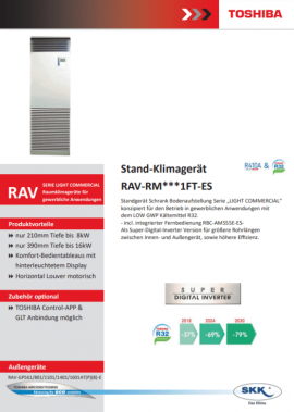 SDI-RAV-RM-FT-ES.pdf